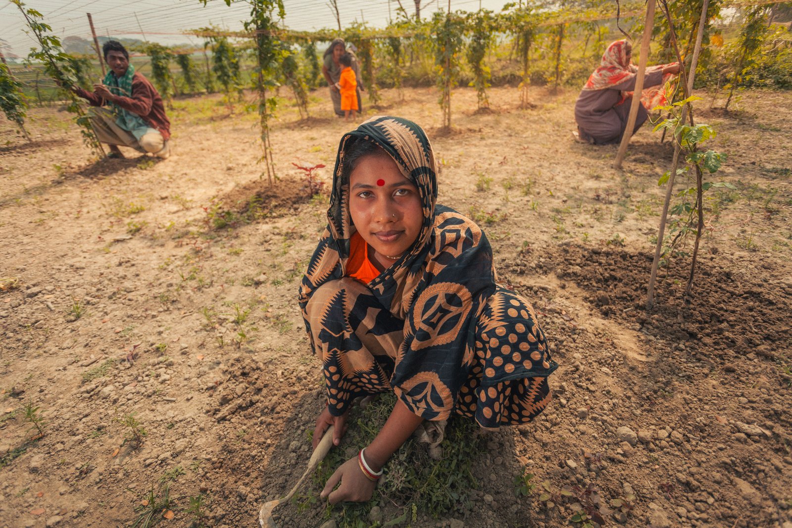 Woman tending crops as part of rural livelihood and wellbeing work
